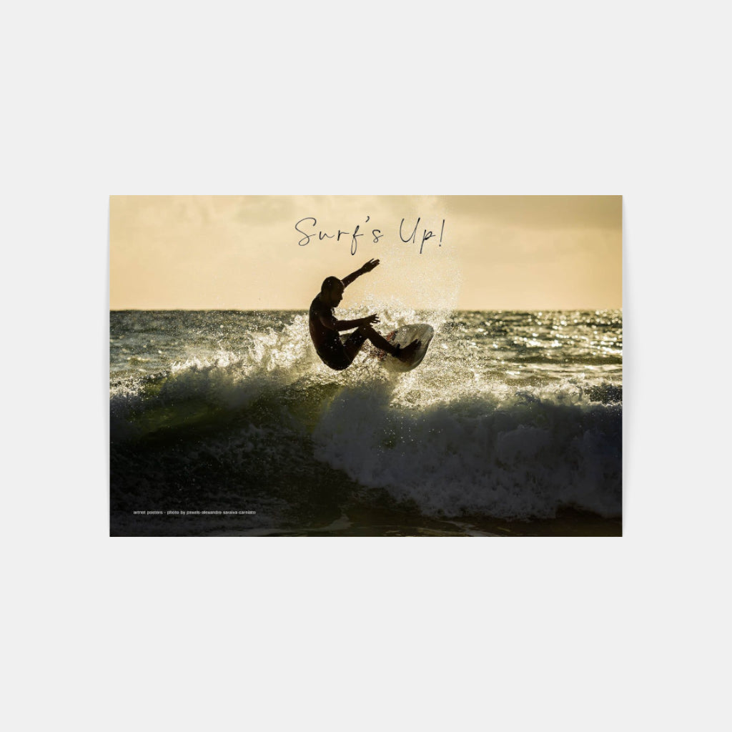 Surf's Up poster