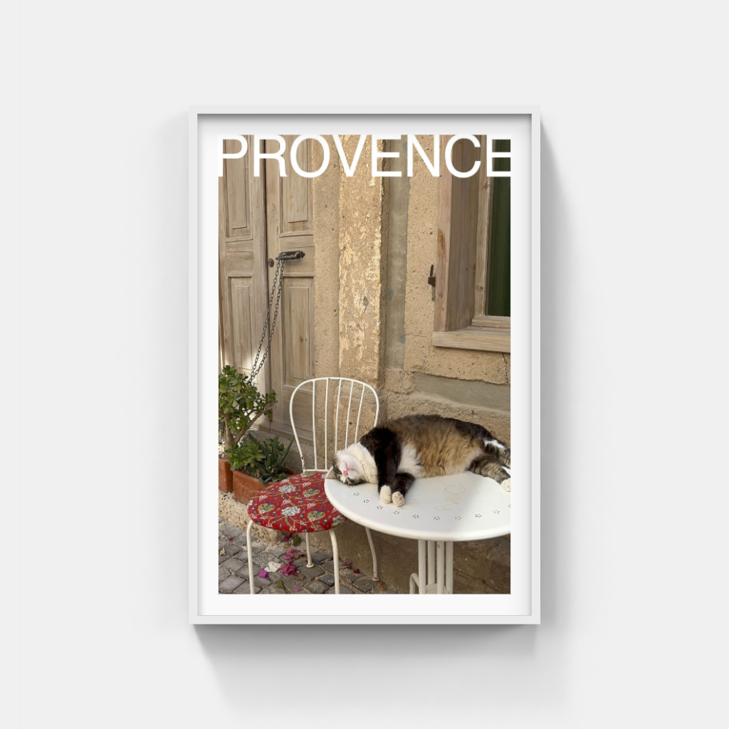 Comatose Cat in Provence poster