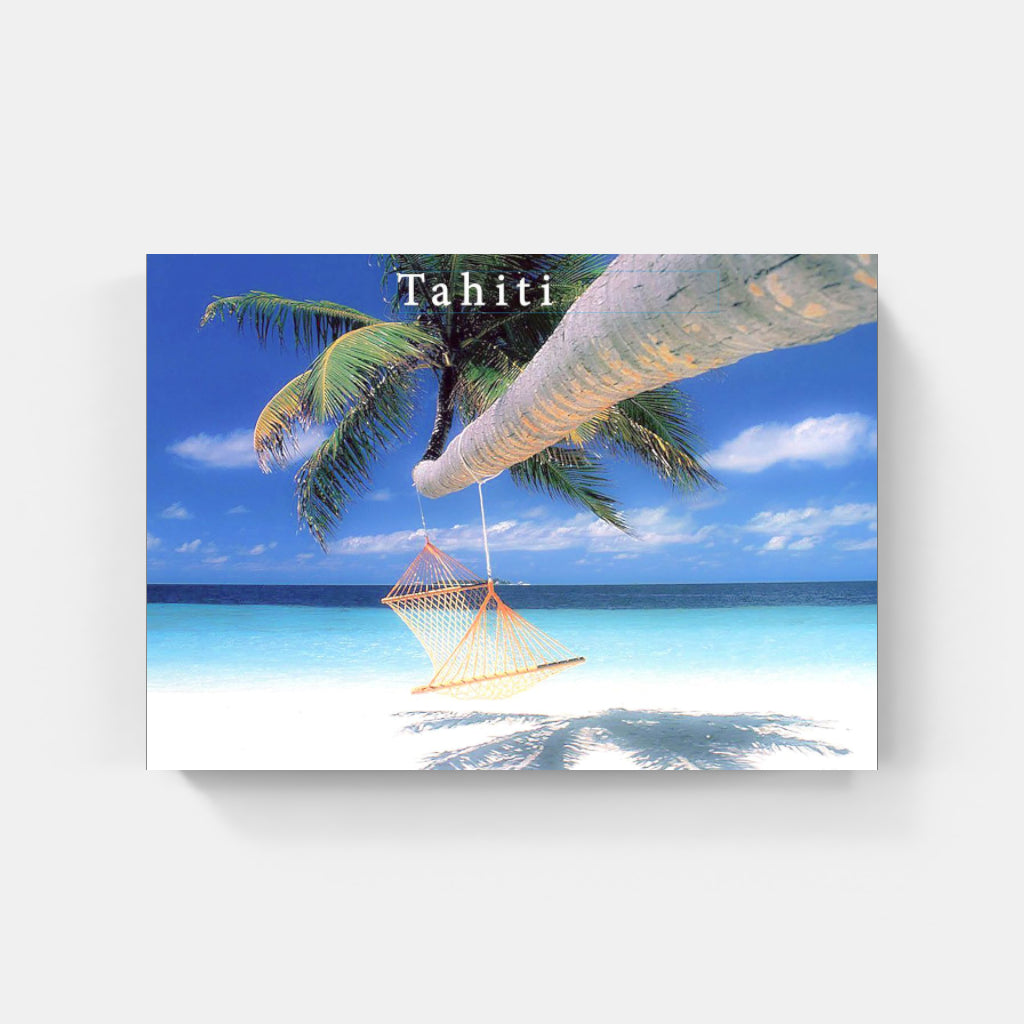 Tahitian Hammock poster
