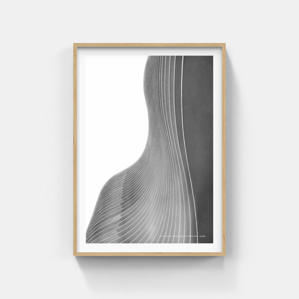 The Architecture of Curves poster