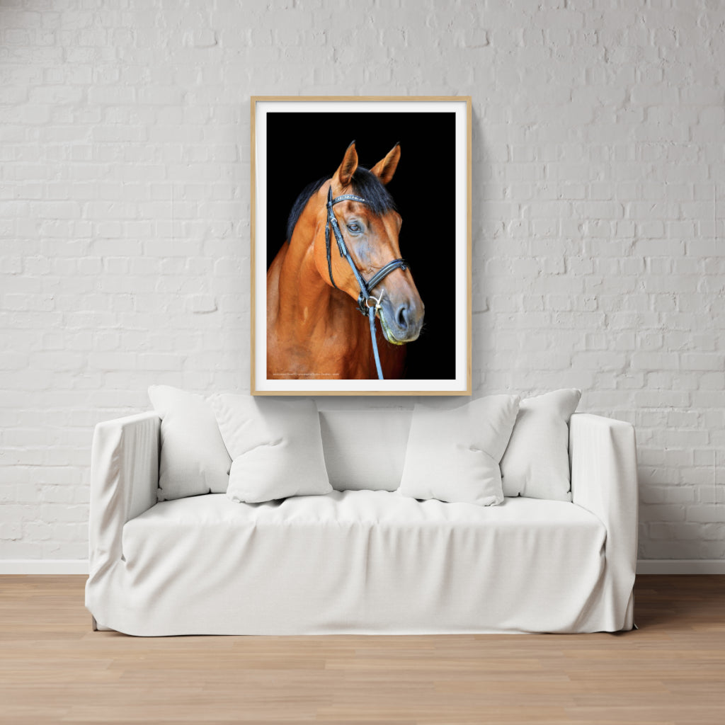 Thoroughly Well-Bred horse poster