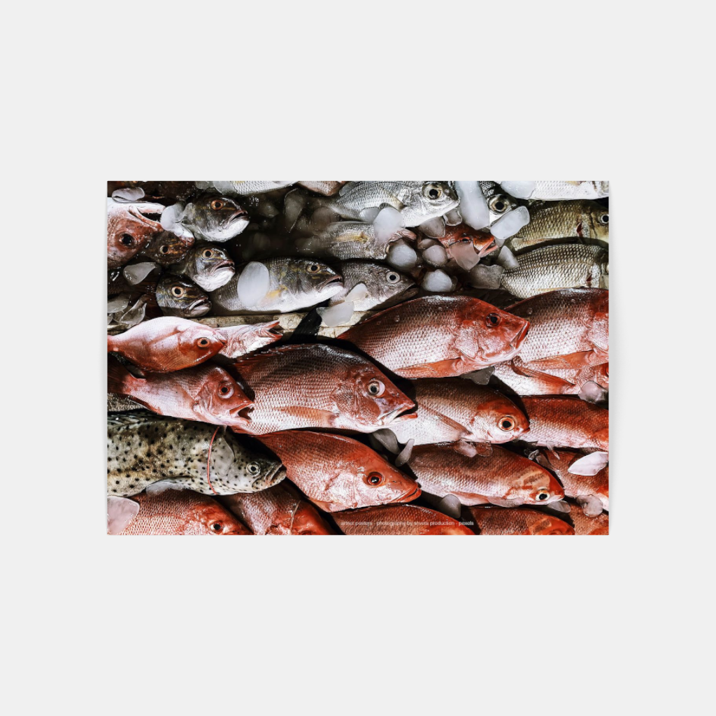 Fresh Fish Ocean Colours poster