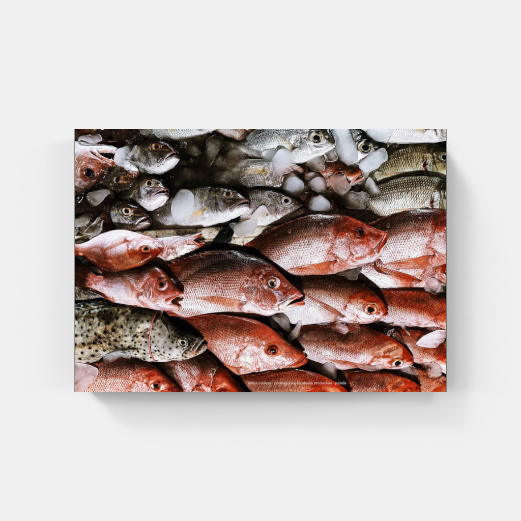 Fresh Fish Ocean Colours poster