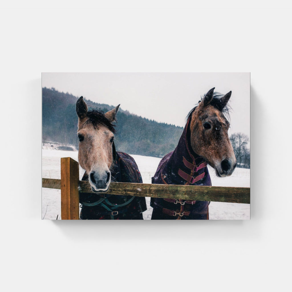 Snow Horses poster