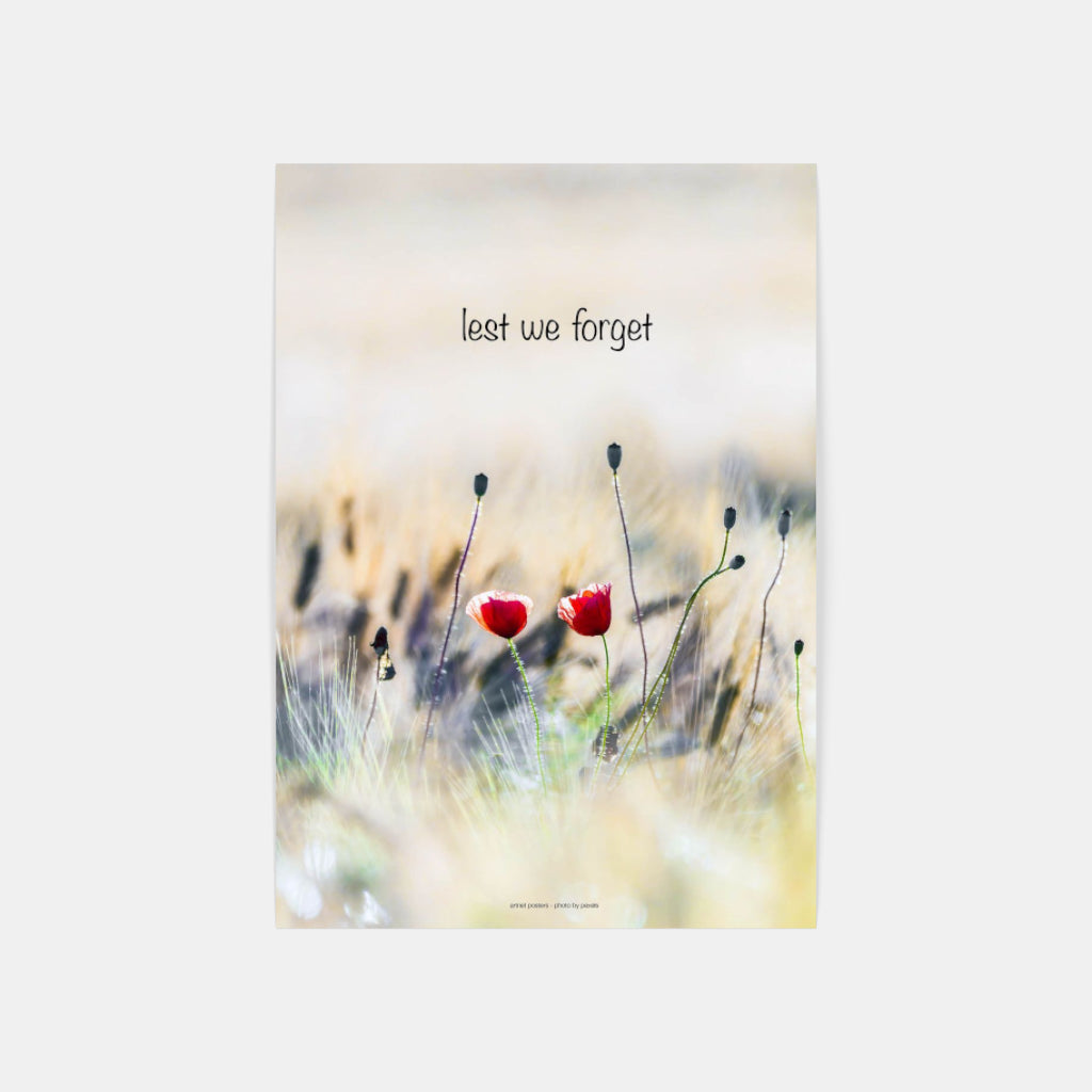 Lest We Forget poster