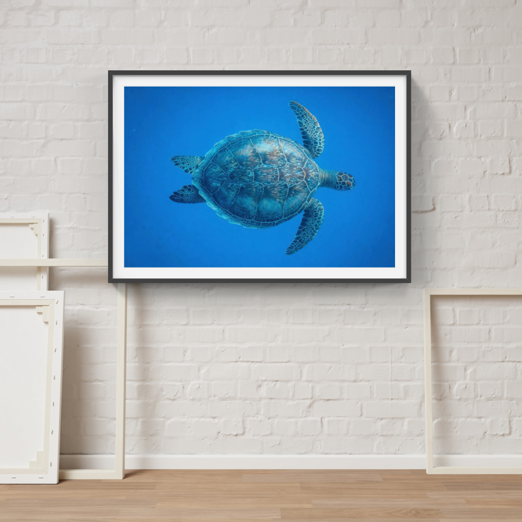 Turtle poster