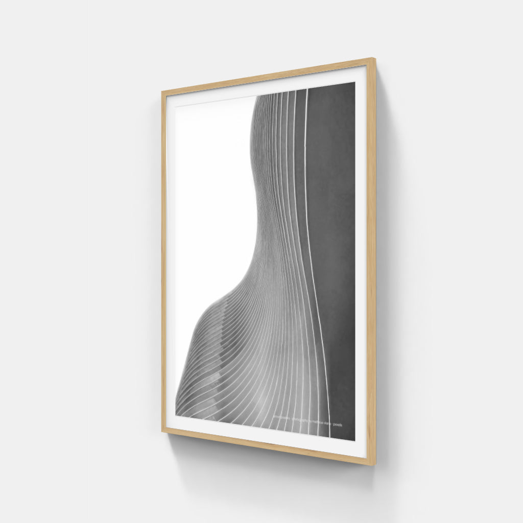 The Architecture of Curves poster