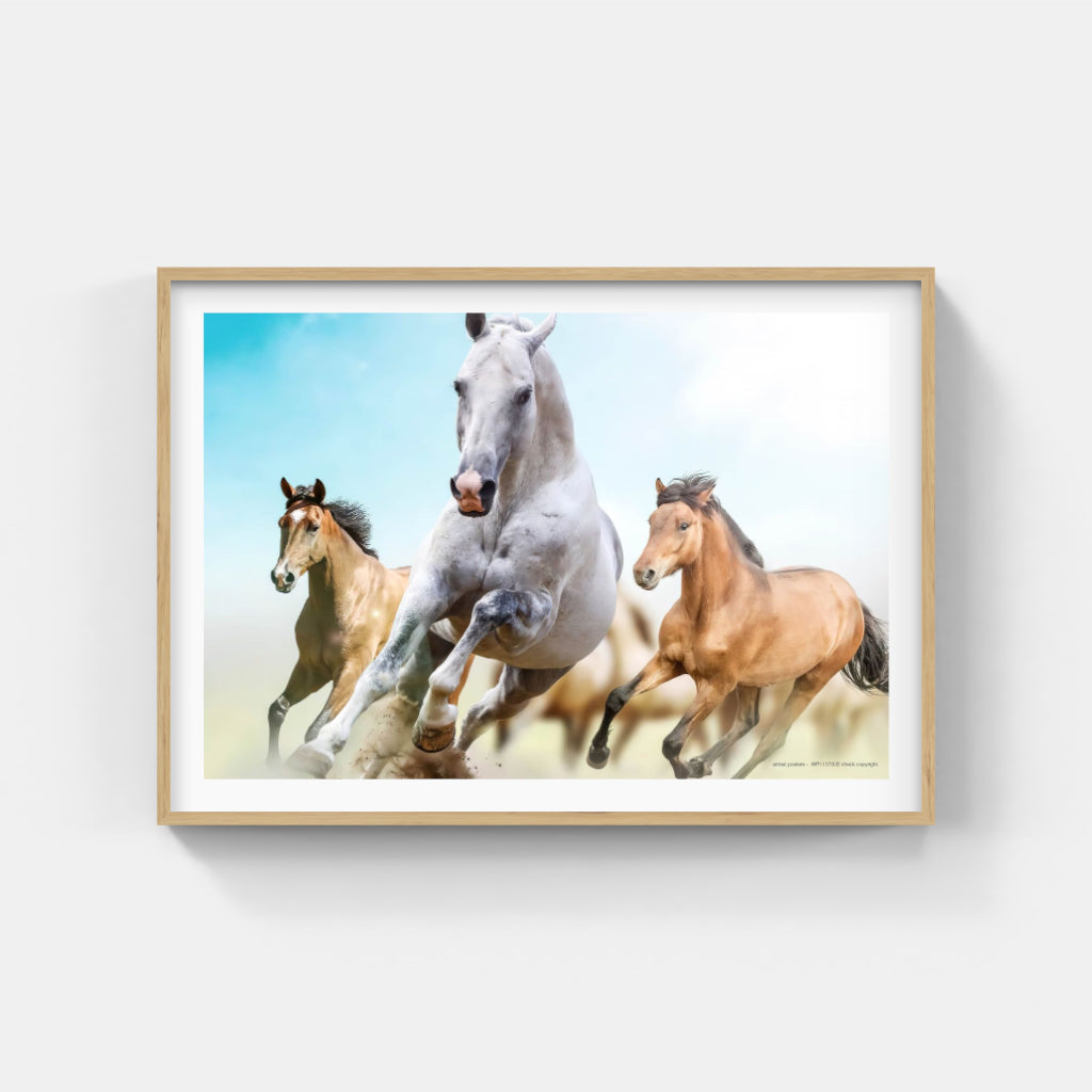 Running Horses poster