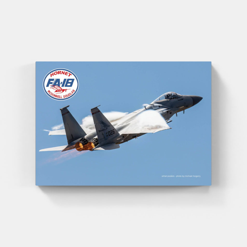 F18 Hornet poster