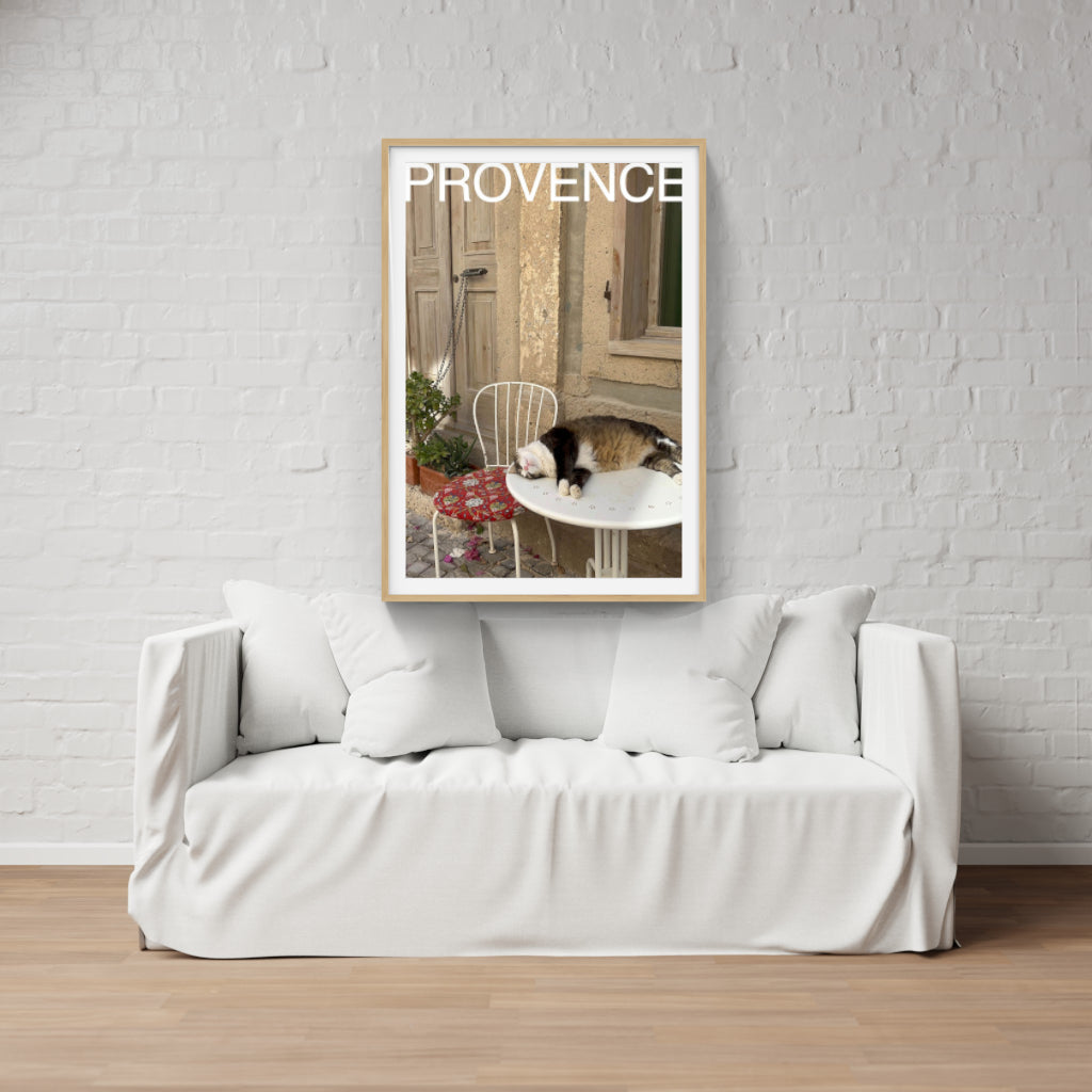 Comatose Cat in Provence poster