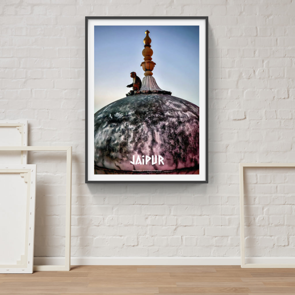 The Monkey Temple, Jaipur poster