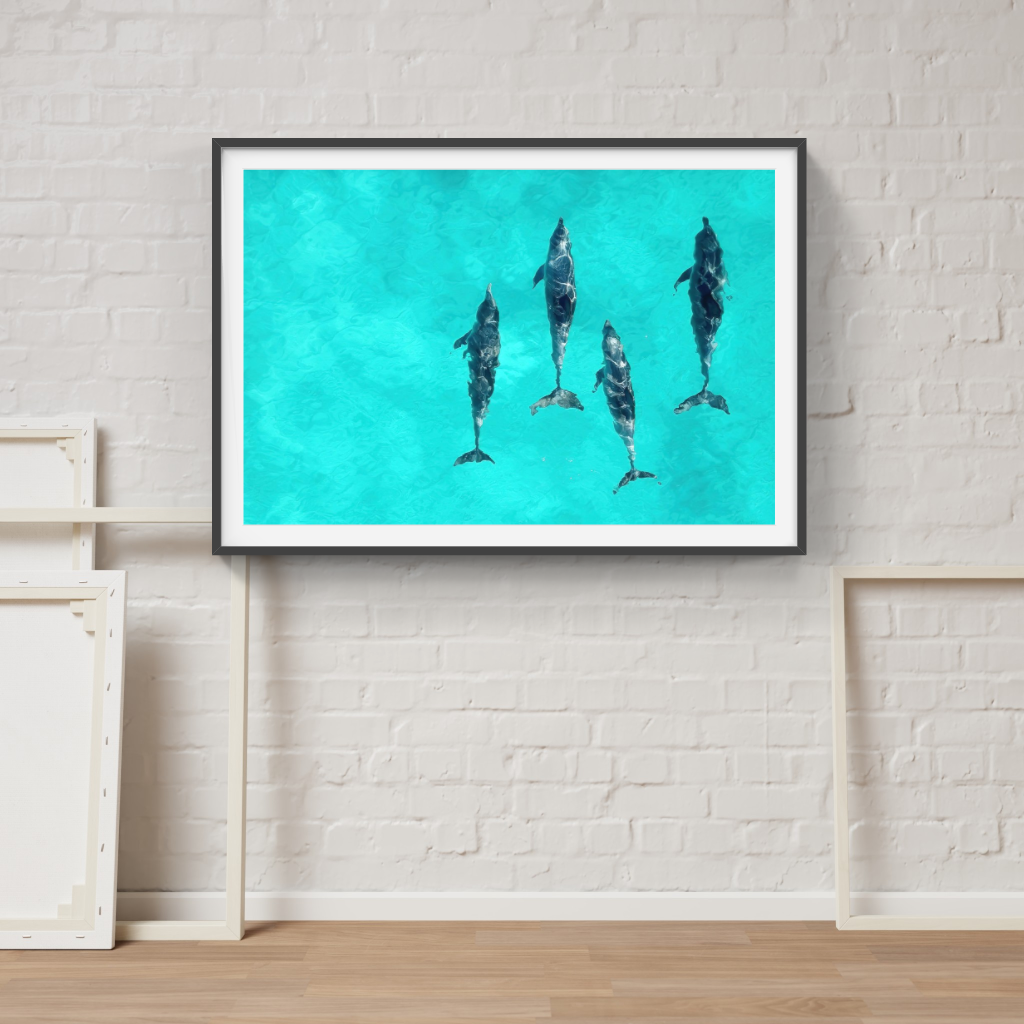 The Intelligence of Dolphins poster