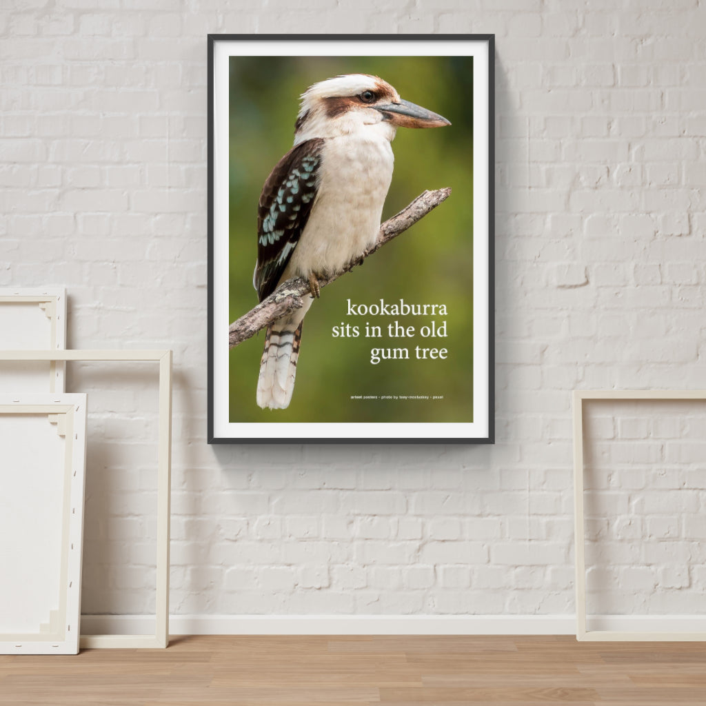 Kookaburra sits in the Old Gum Tree poster