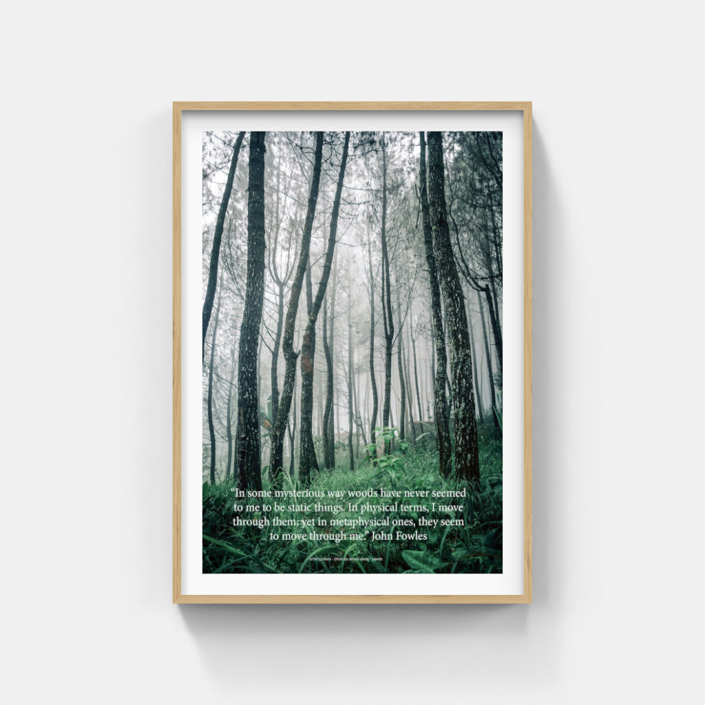 Mysterious Woods poster