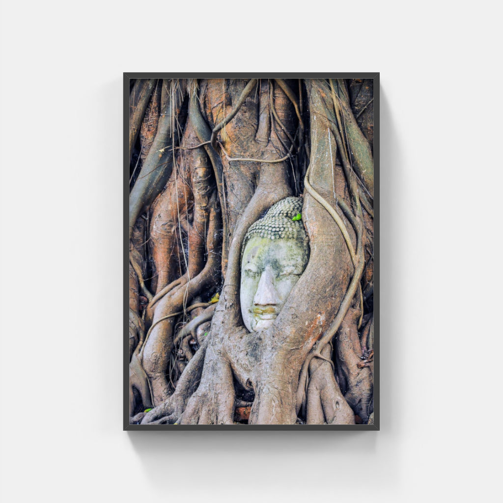 Buddha Enlightenment poster