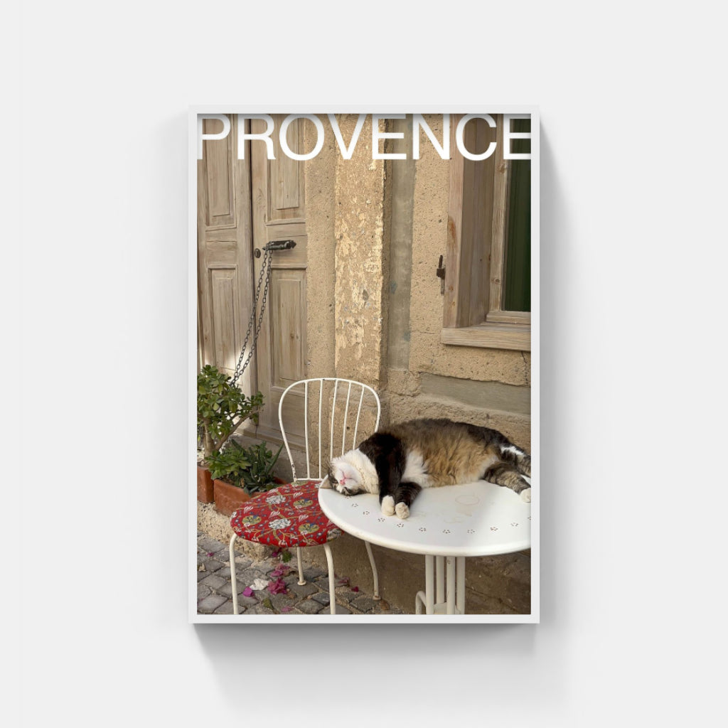 Comatose Cat in Provence poster