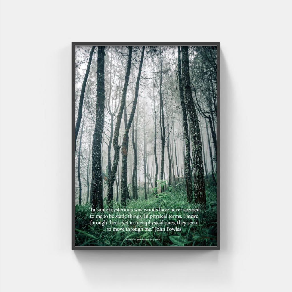 Mysterious Woods poster