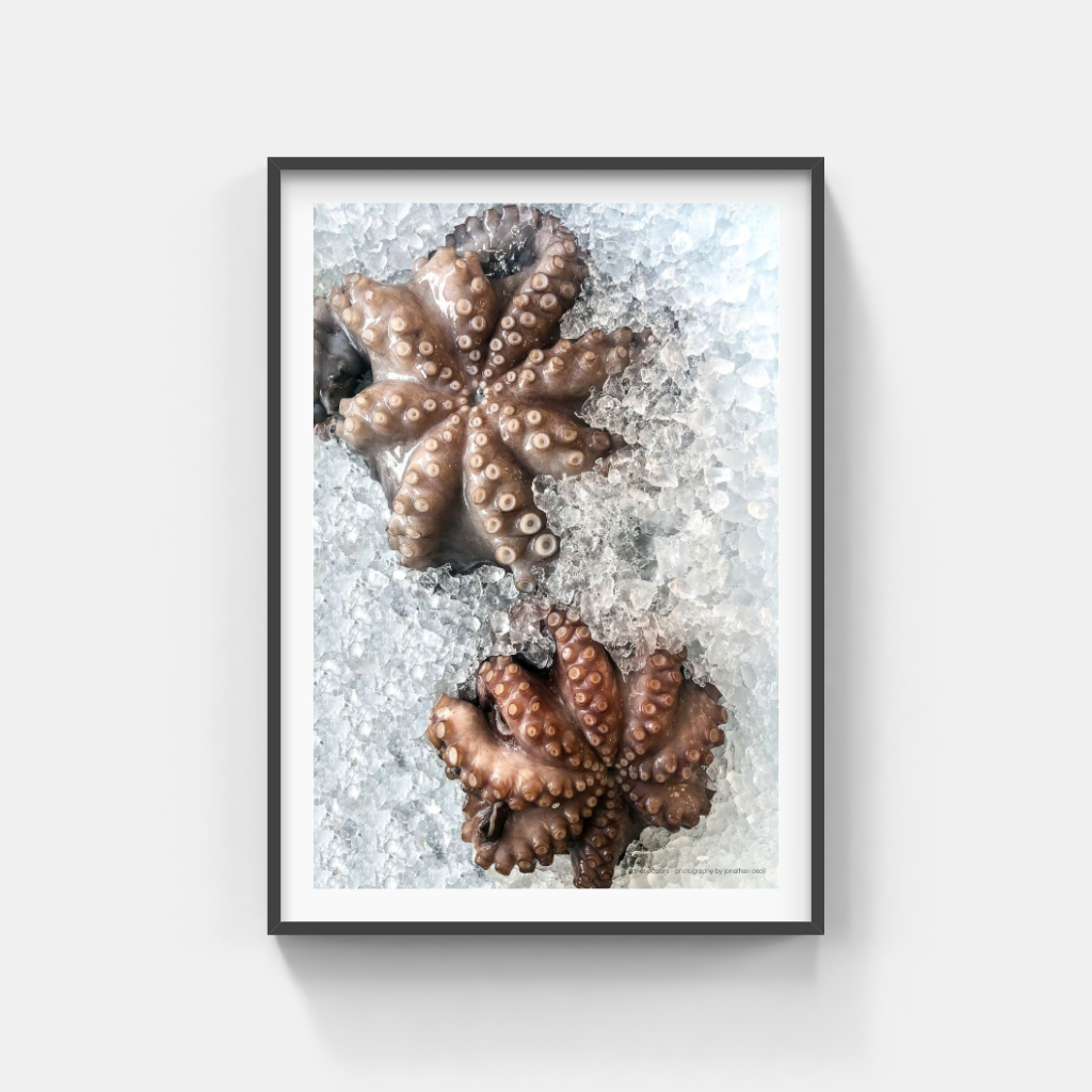 Fresh Octopus poster
