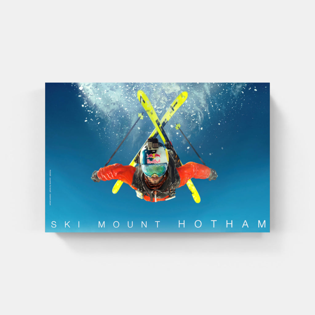 Ski Somersault poster