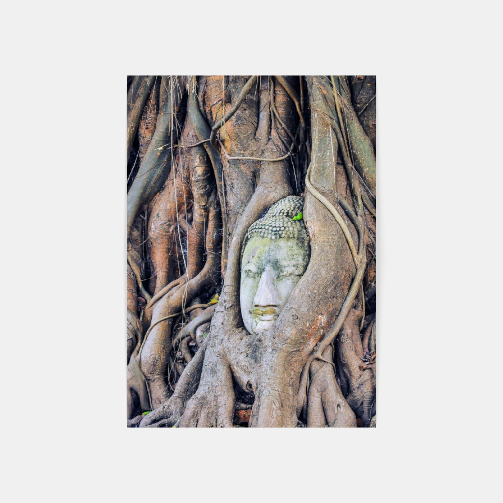 Buddha Enlightenment poster