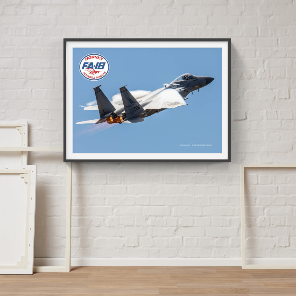 F18 Hornet poster