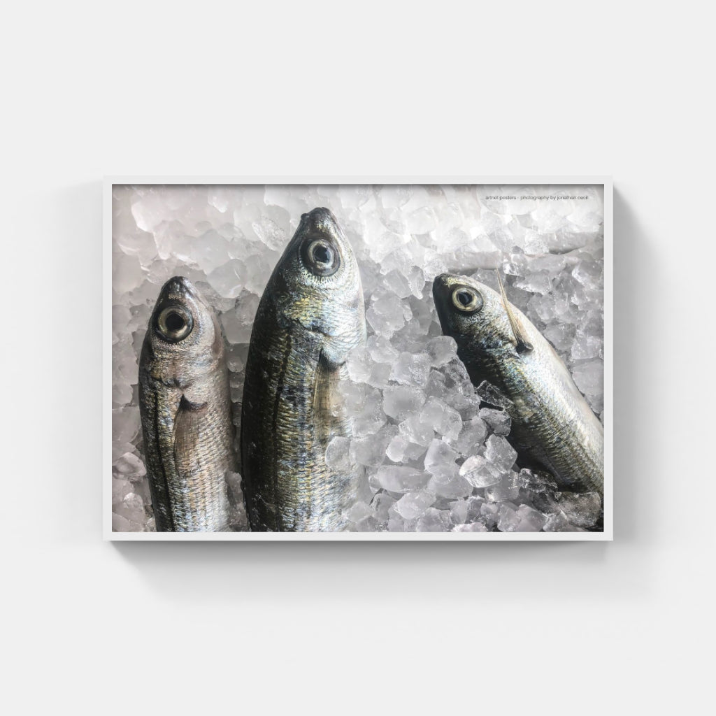 Fresh Fish poster