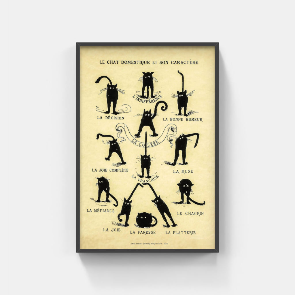 Chat Noir Domestique poster