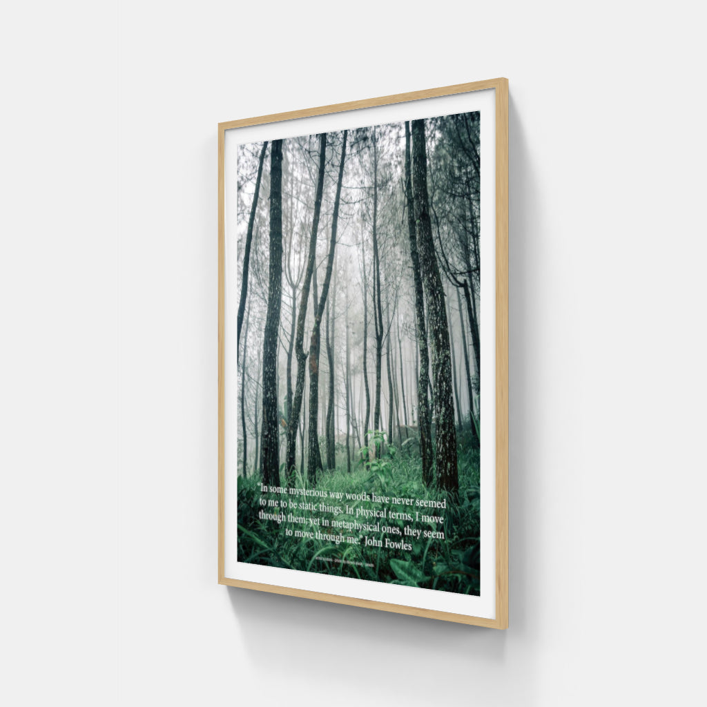 Mysterious Woods poster