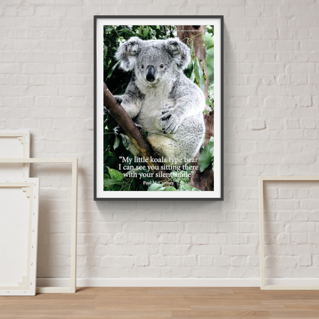 Koala poster