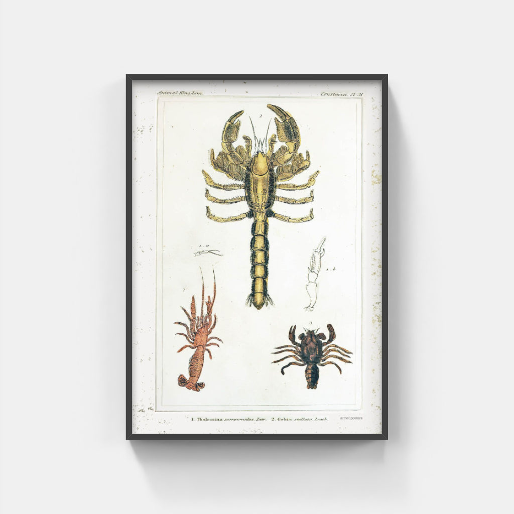 Vintage Crustaceans retro poster