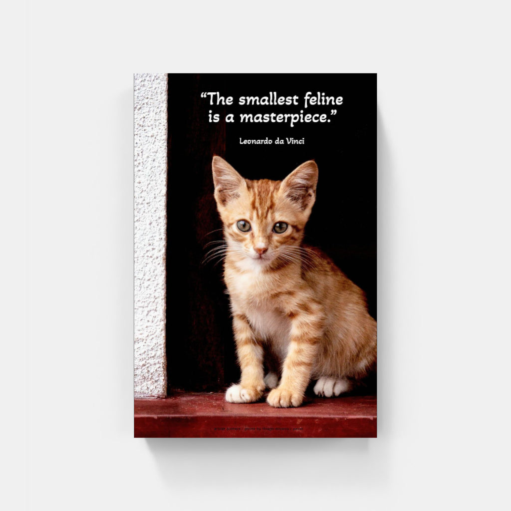 Kitten in a Doorway poster