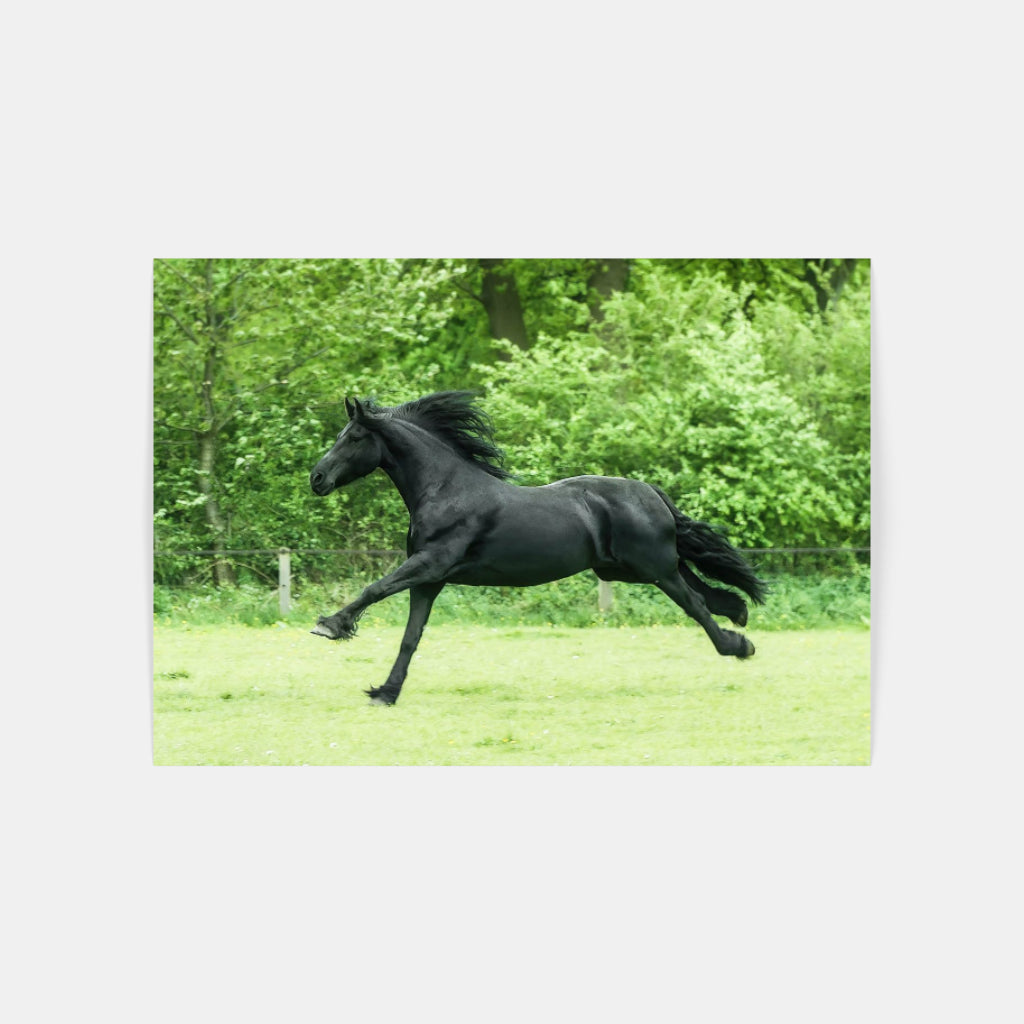 Running Wild horse poster