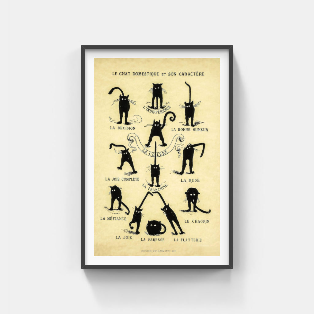 Chat Noir Domestique poster