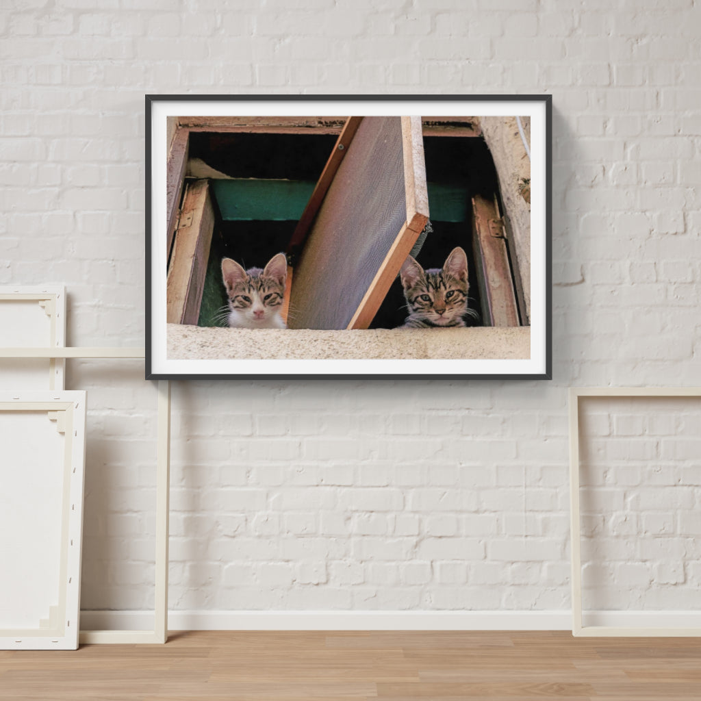 Kittens in a Window poster