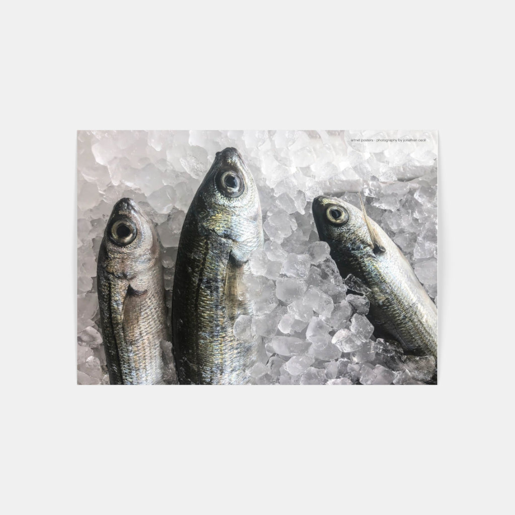 Fresh Fish poster