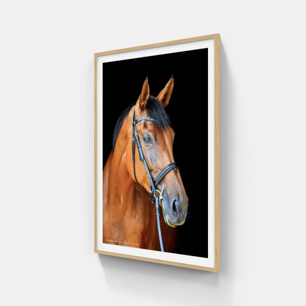 Thoroughly Well-Bred horse poster