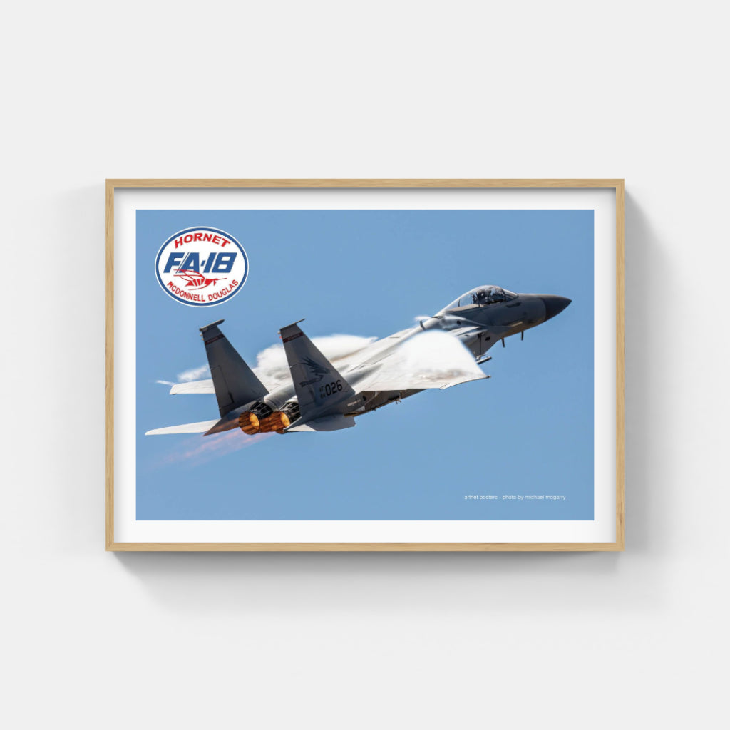 F18 Hornet poster