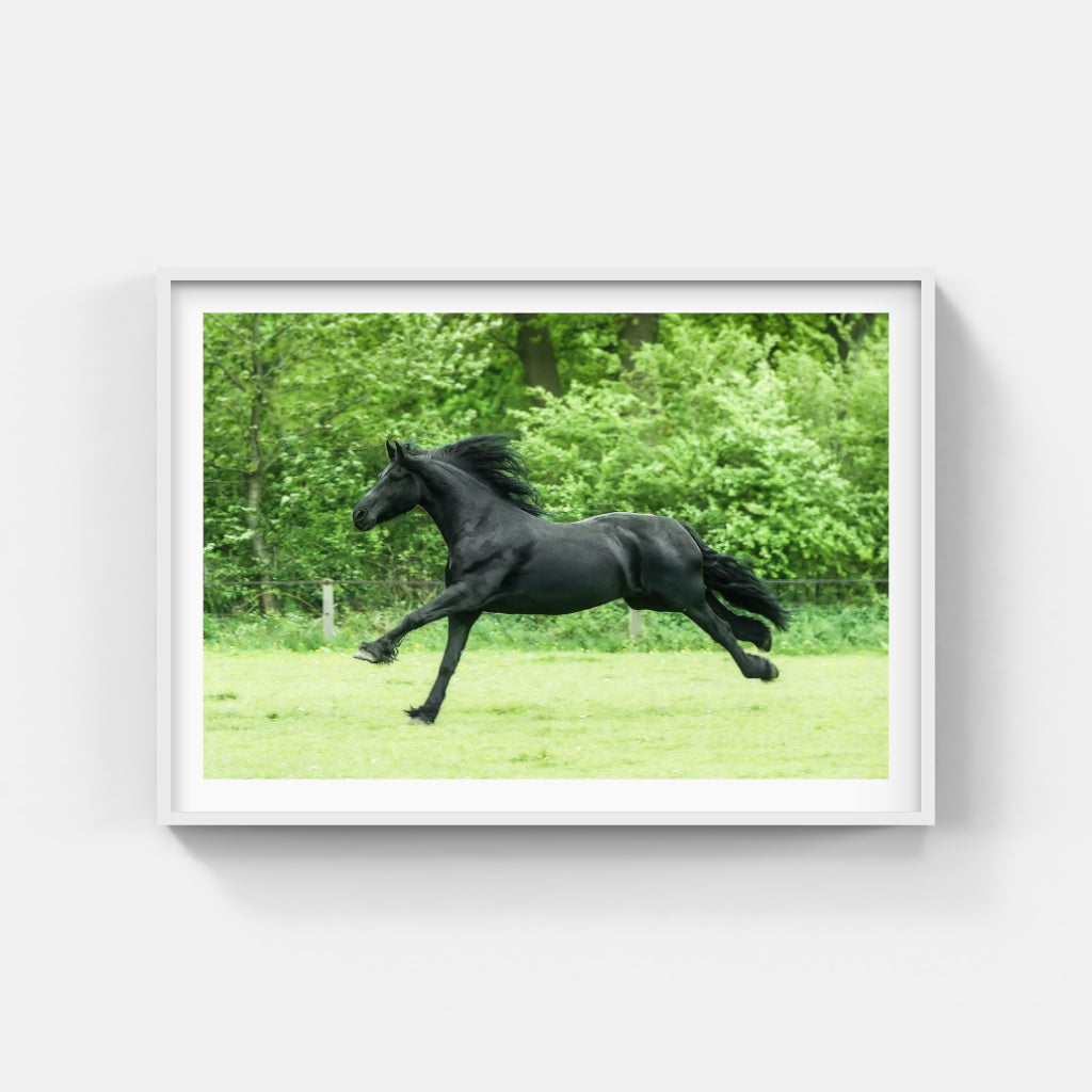 Running Wild horse poster