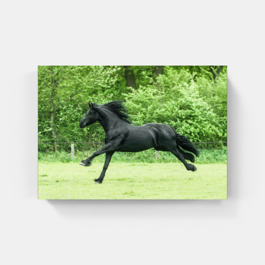 Running Wild horse poster