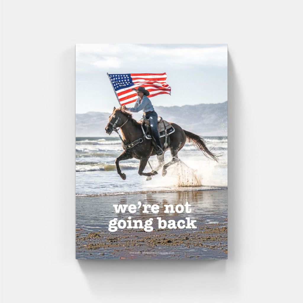 We're not going back horse poster