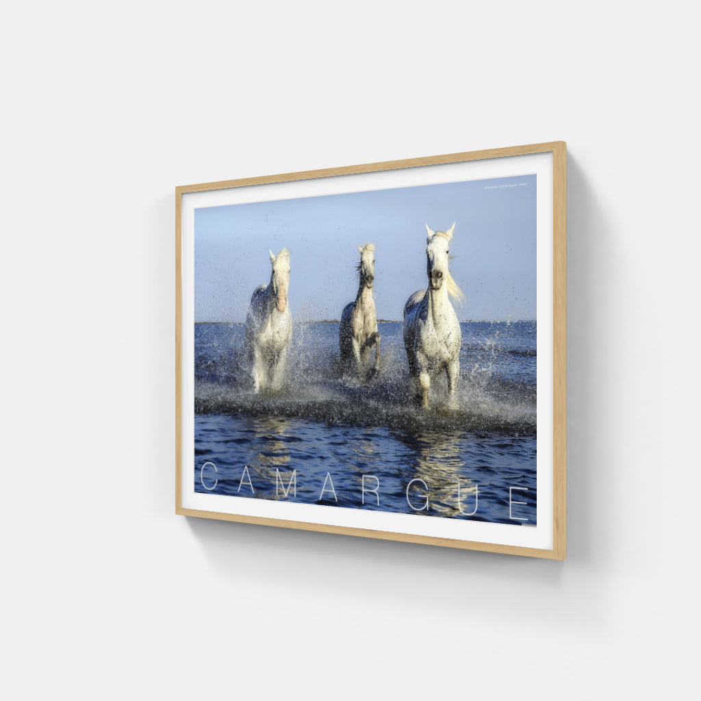 Camargue Horses poster