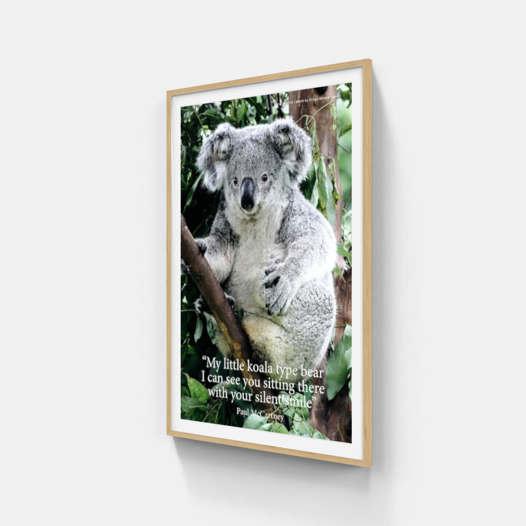 Koala poster