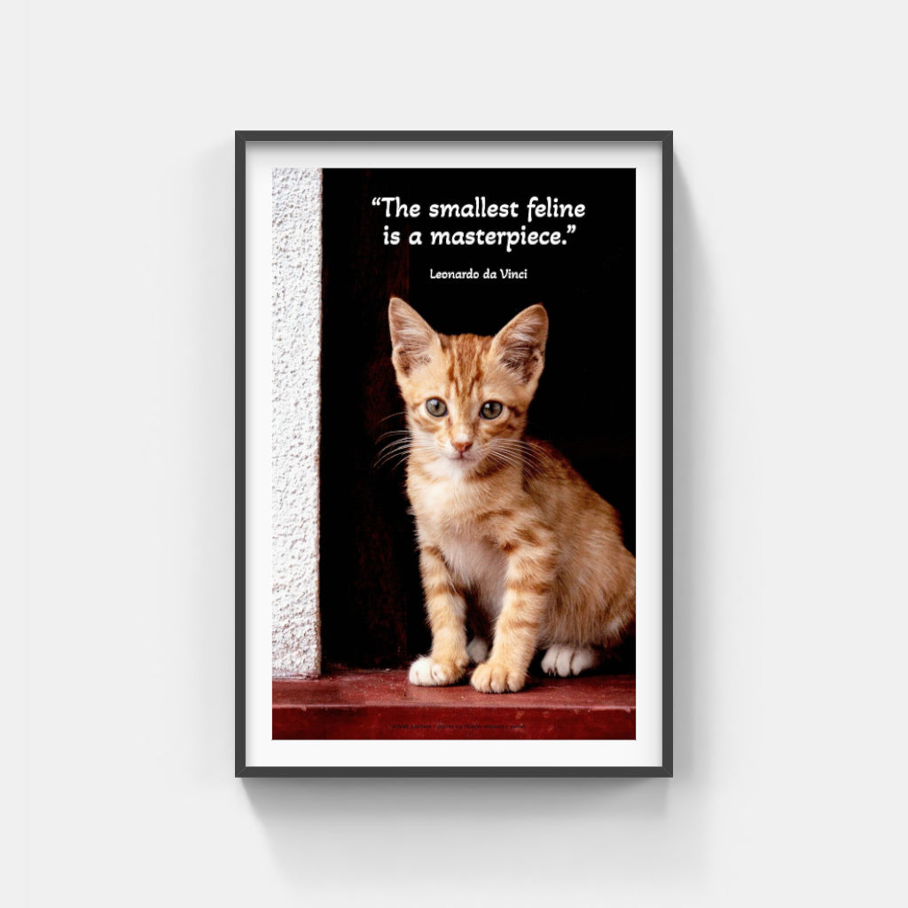 Kitten in a Doorway poster