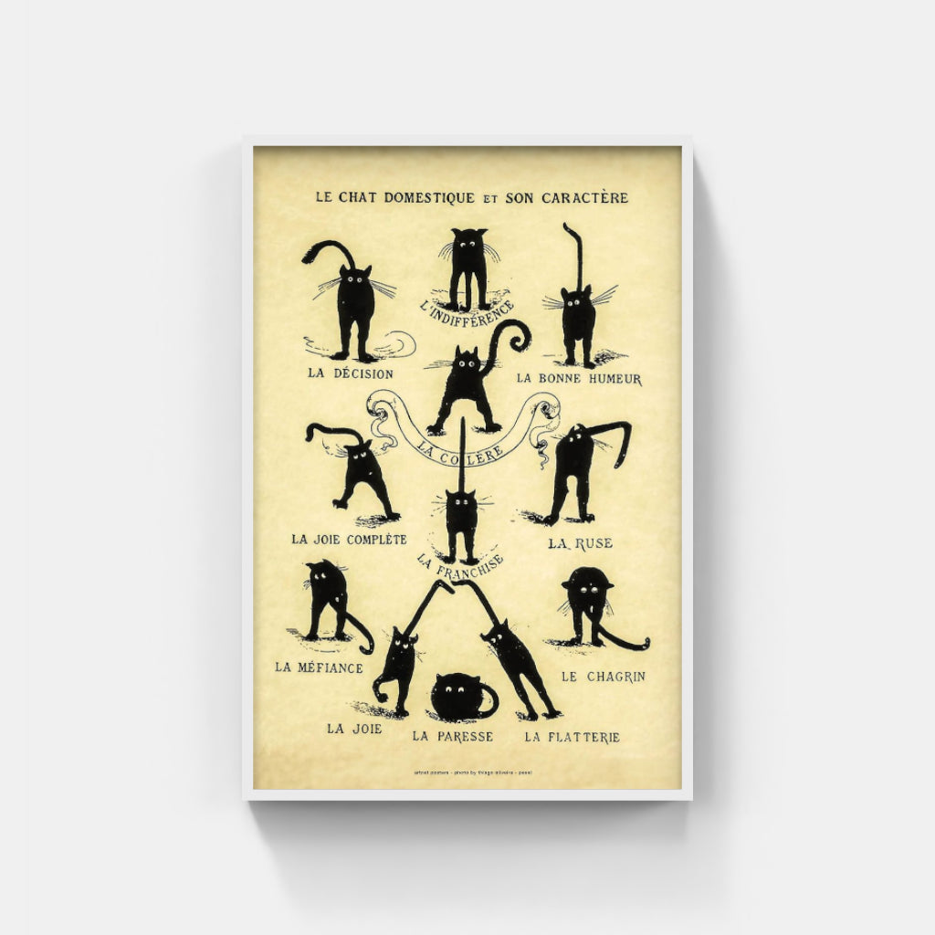 Chat Noir Domestique poster