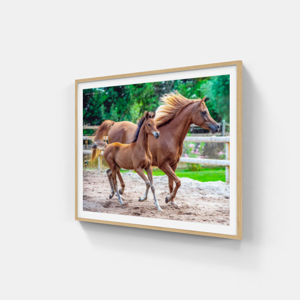 Mother and Foal poster