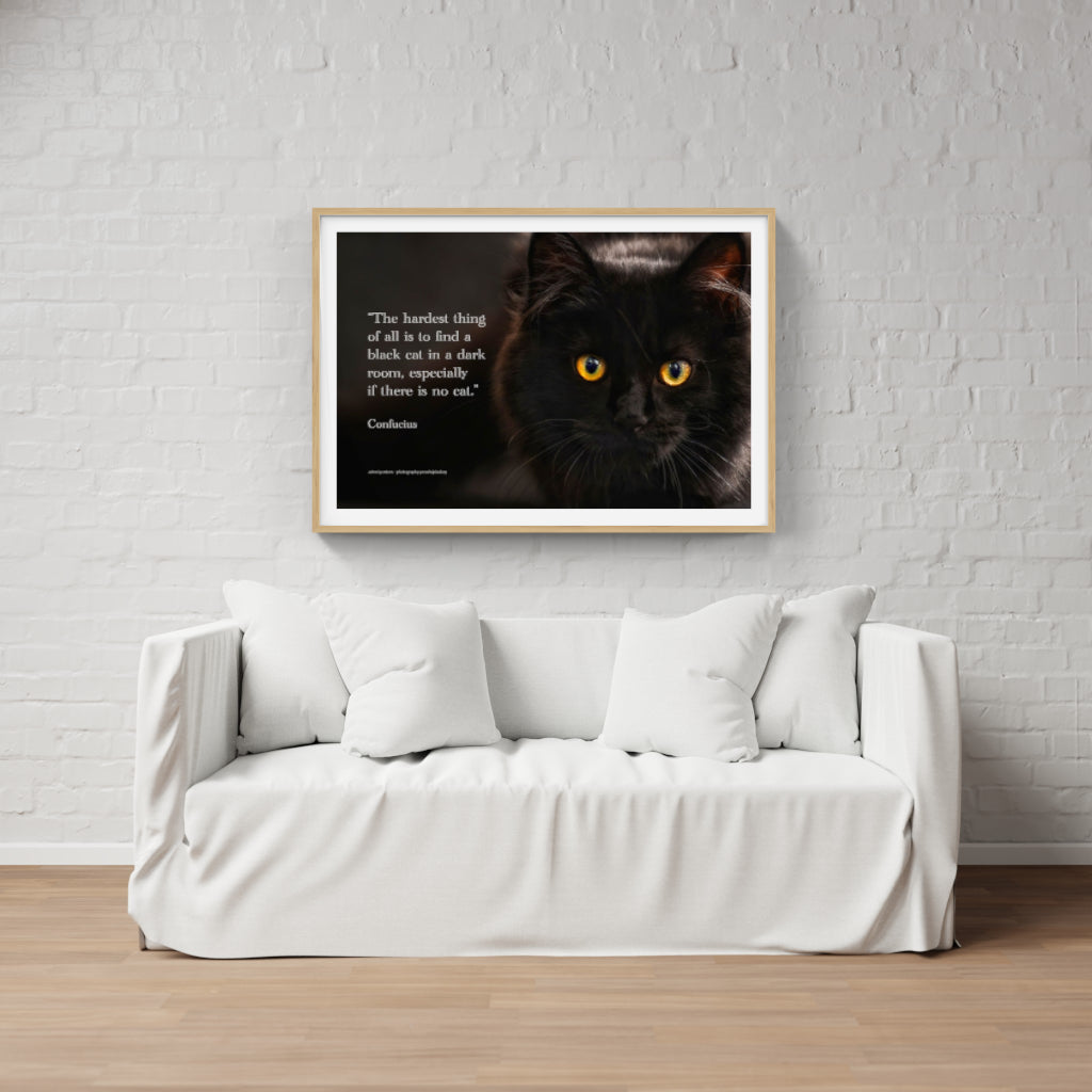 Confucian Cat poster