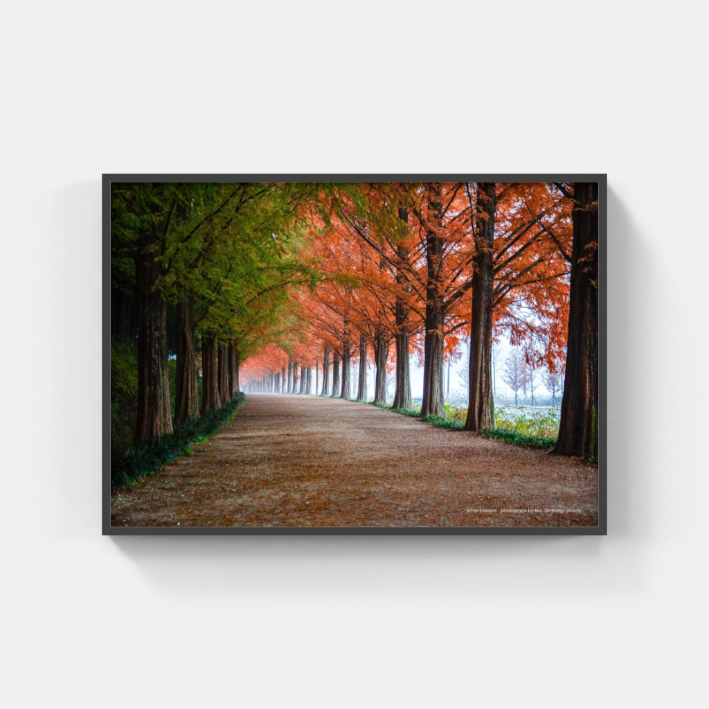 Autumn Trees - poster