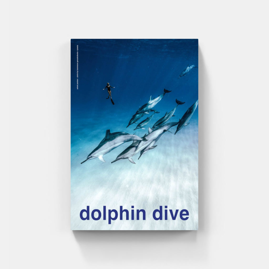 Scuba - Dolphin Dive poster