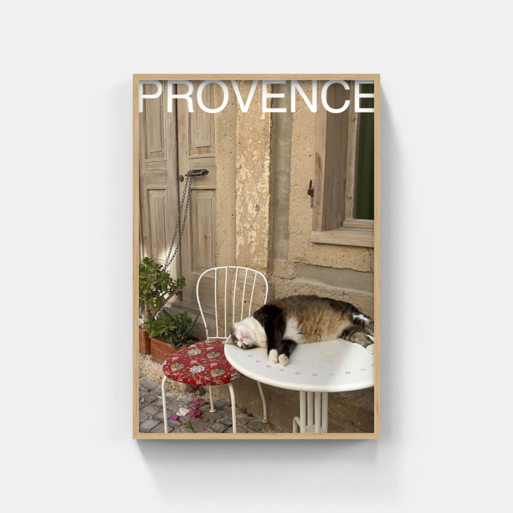 Comatose Cat in Provence poster