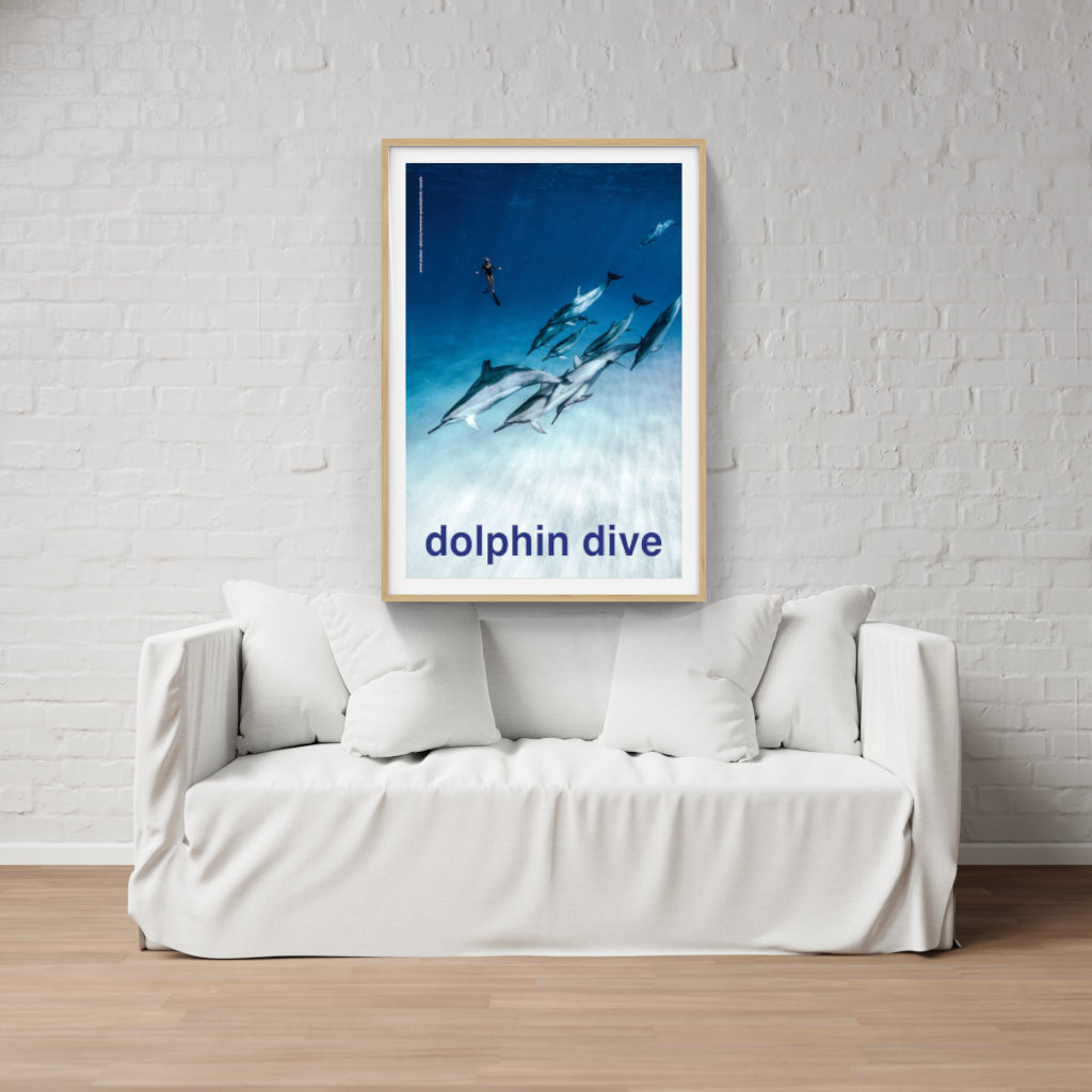 Scuba - Dolphin Dive poster